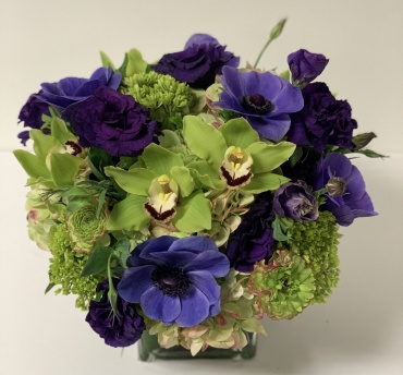 Purple Luxury