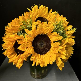 SUNFLOWER SIMPLIFIED