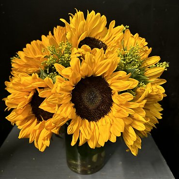 SUNFLOWER SIMPLIFIED