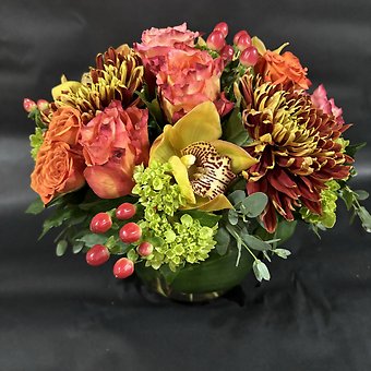 FESTIVE FALL