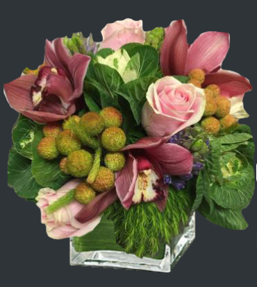 CABBAGE ROSE