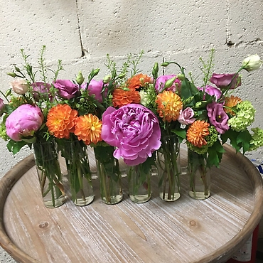 SUMMER GARDEN DELIGHT