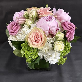 PEONY DELIGHT