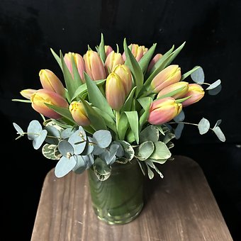 TULIPS