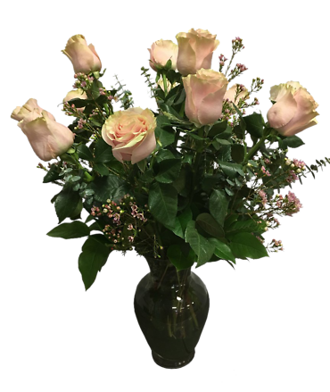 DOZEN ROSES