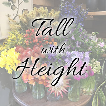 Designer\'s Choice - Tall with Height