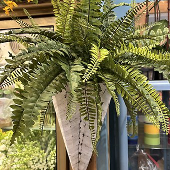 Artificial Fern