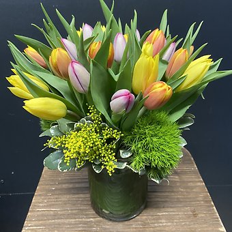 MIXED TULIPS