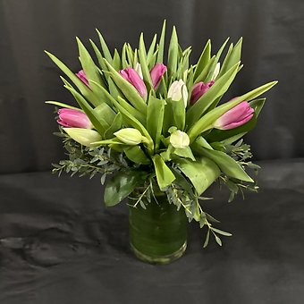 TULIP NEST